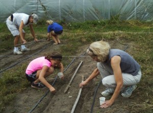 albino family planting radishes
